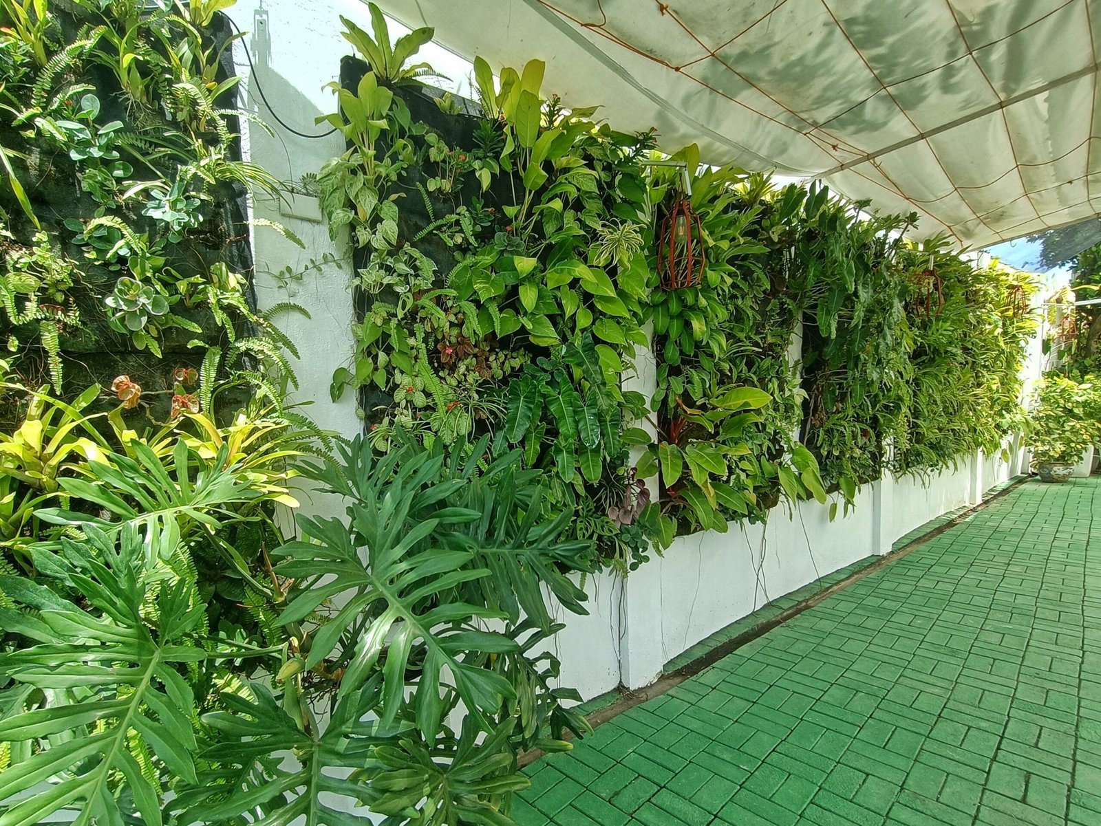 Wall Garden
